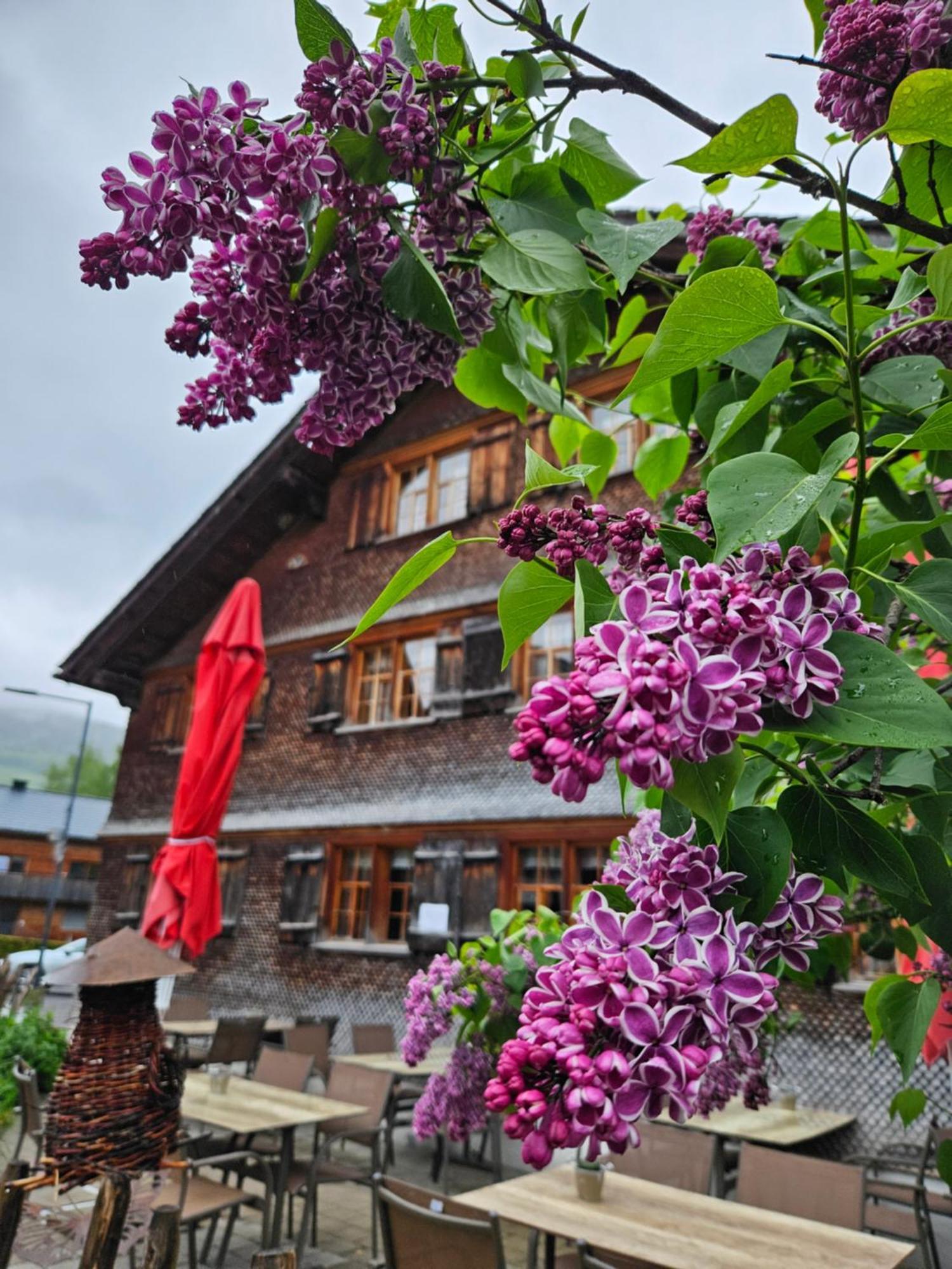 Hotel Naze'S Hus Mellau Exteriér fotografie